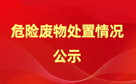 2024年危險(xiǎn)廢物產(chǎn)生、處置情況公示